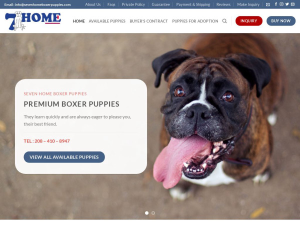 Sevenhomeboxerpuppies.com - Boxer Puppy Scam Review