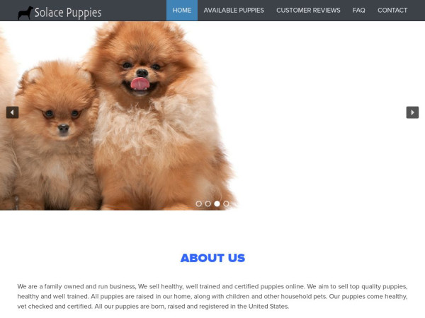 Solacepuppies.com - Pomeranian Puppy Scam Review