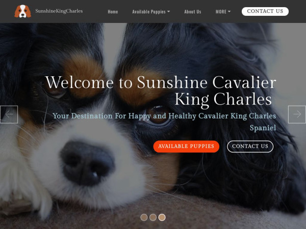 Sunshinekingcharles.com - Cavalier King Charles Spaniel Puppy Scam Review