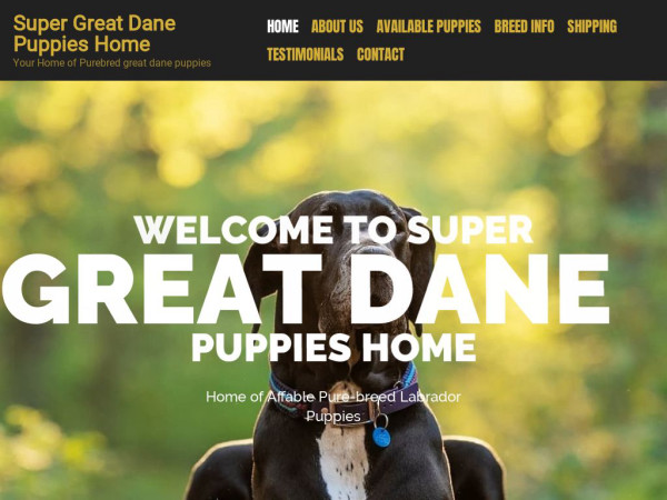 Supergreatdanepuppieshome.com - Great Dane Puppy Scam Review