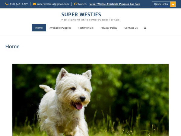 Superwesties.com - Terrier Puppy Scam Review