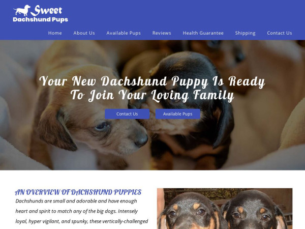 Sweetdachshundpups.com - Dachshund Puppy Scam Review