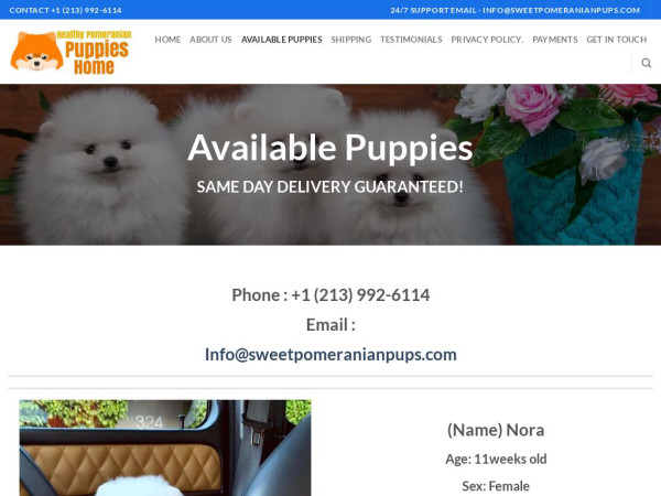 Sweetpomeranianpups.com - Great Dane Puppy Scam Review