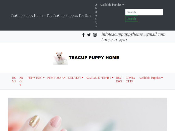 Teacuppuppyhome.com - Yorkshire Terrier Puppy Scam Review