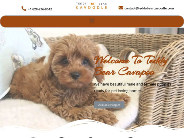 Teddybearcavoodle.com - Cavapoo Puppy Scam Review