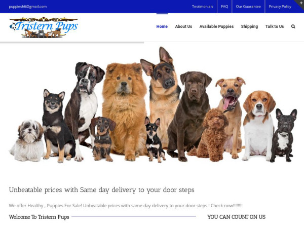 Tristernpups.com - English Bulldog Puppy Scam Review