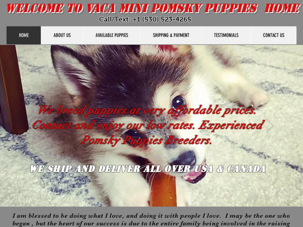 Vacaminipomskypuppies.com - Pomeranian Puppy Scam Review