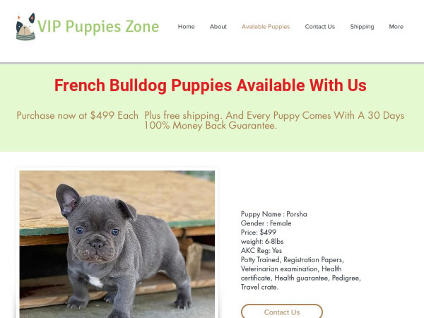 Vippuppieszone.com - French Bulldog Puppy Scam Review