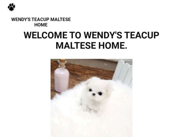 Wendymaltesehome.com - Maltese Puppy Scam Review