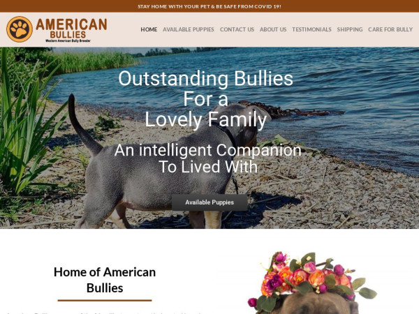 Westernamericanbully.com - Pit Bull Puppy Scam Review