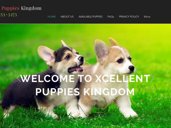 Xcellentpuppieskingdom.com - Corgi Puppy Scam Review