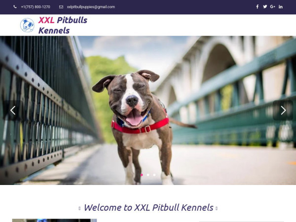 Xxlpitbullkennels.com - Pit Bull Puppy Scam Review