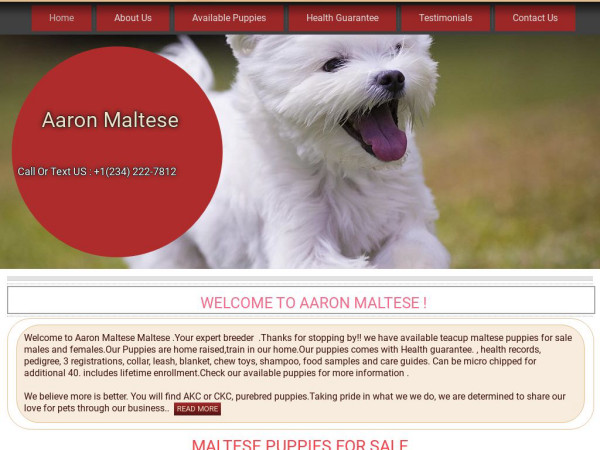 Aaronmaltesepuppy.com - Maltese Puppy Scam Review