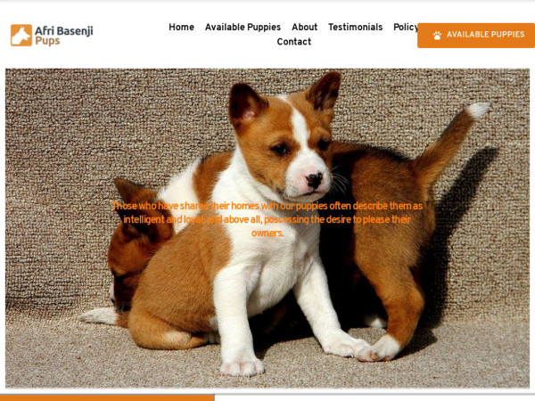 Afribasenjipups.com - Basenji Puppy Scam Review