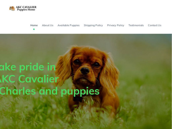 Akccavalierpupshome.com - Cavalier King Charles Spaniel Puppy Scam Review