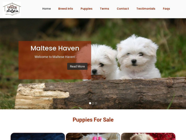 Akcmaltesehome.com - Maltese Puppy Scam Review