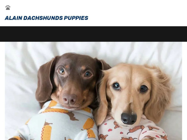 Alaindachshundpuppies.net - Dachshund Puppy Scam Review