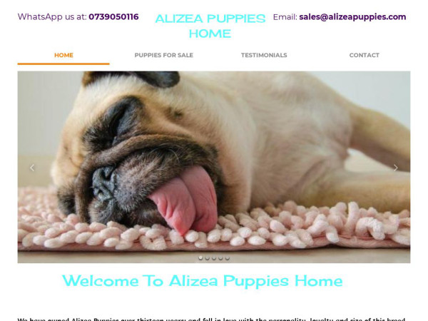 Alizeapuppies.com - Pug Puppy Scam Review