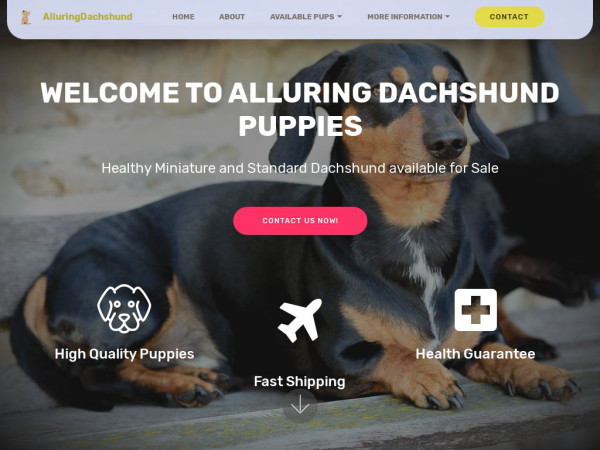 Alluringdachshundpuppieshome.com - Dachshund Puppy Scam Review