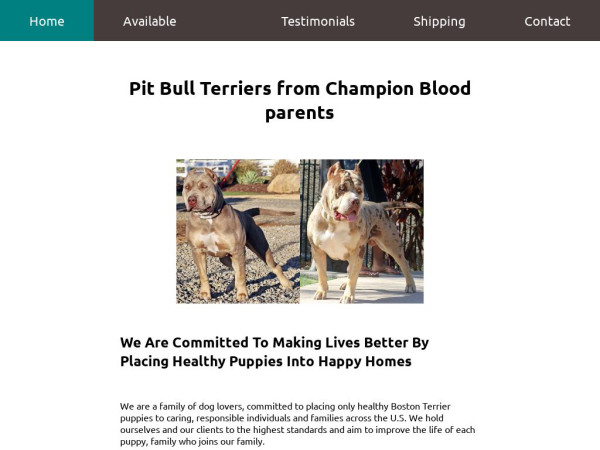 Americangottallentspit89.com - Pit Bull Puppy Scam Review