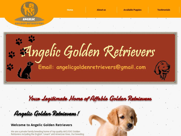 Angelicgoldenretrievers.com - Golden Retriever Puppy Scam Review