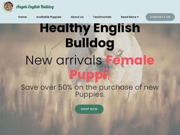 Angelsenglishbulldogpuppies.com - English Bulldog Puppy Scam Review