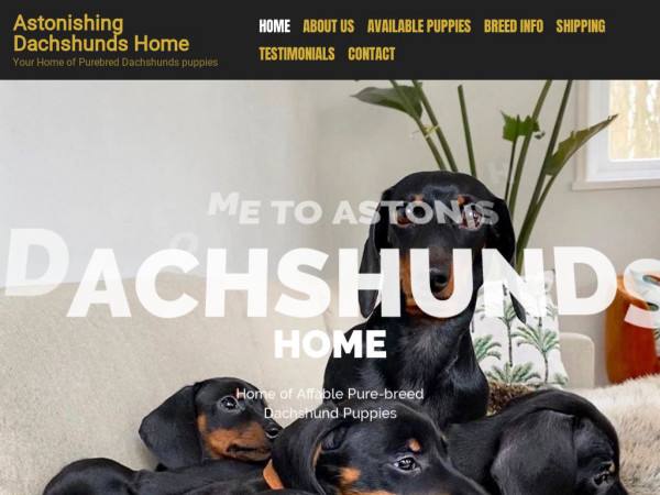 Astonishingdachshundshome.com - Dachshund Puppy Scam Review