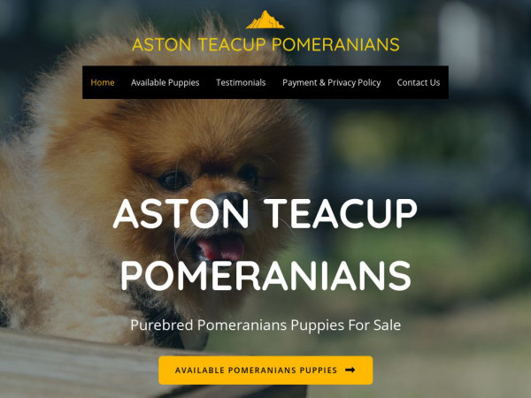 Astonteacuppomeranians.com - Pomeranian Puppy Scam Review