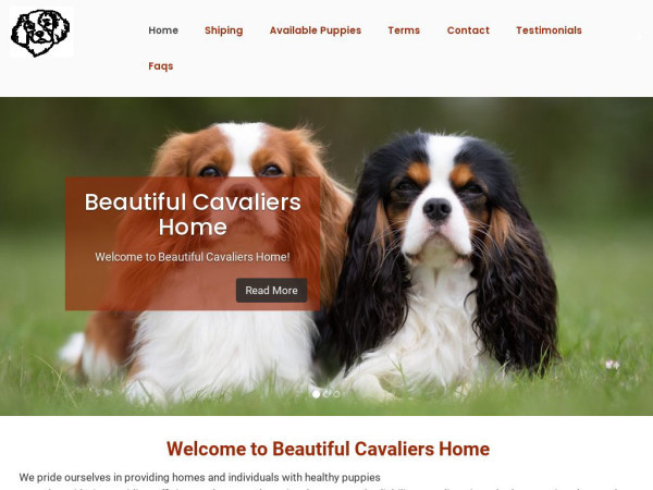 Beautifulcavaliers.com - Cavalier King Charles Spaniel Puppy Scam Review