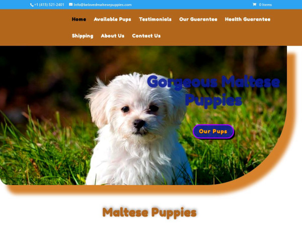 Belovedmaltesepuppies.com - Maltese Puppy Scam Review