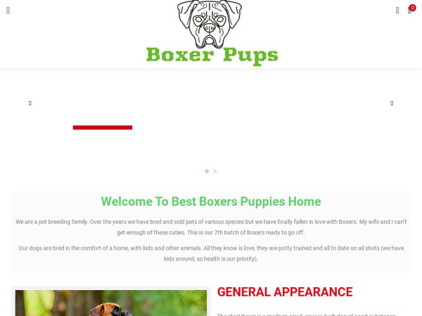 Bestboxerpuppieshome.com - Boxer Puppy Scam Review