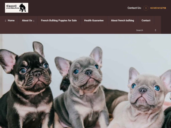 Bluepowsfrenchies.com - French Bulldog Puppy Scam Review