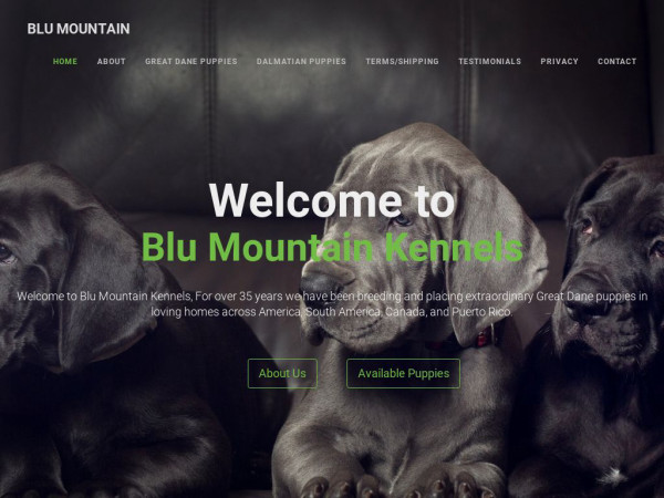 Blumountainkennels.com - Husky Puppy Scam Review