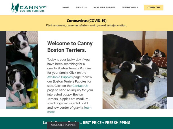 Cannybostonterriers01.com - Boston Terrier Puppy Scam Review