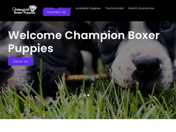 Champion-boxerpuppies.com - Boxer Puppy Scam Review