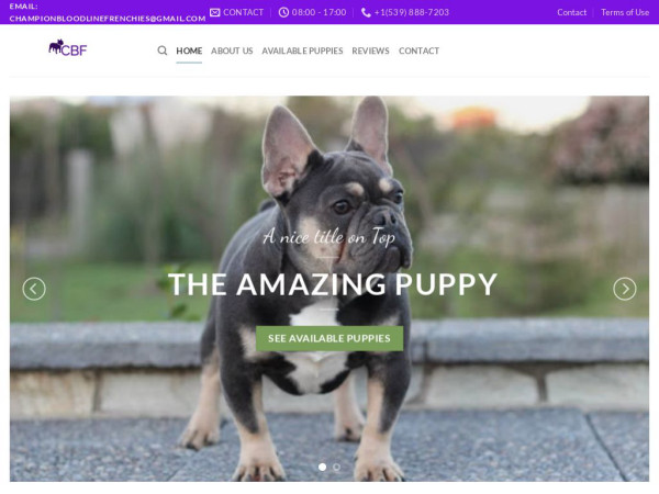 Championbloodlinefrenchies.com - French Bulldog Puppy Scam Review