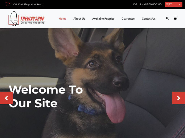 Championshepherd.com - Germanshepherd Puppy Scam Review