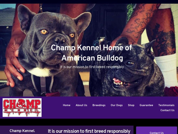 Champkennel.com - Pit Bull Puppy Scam Review