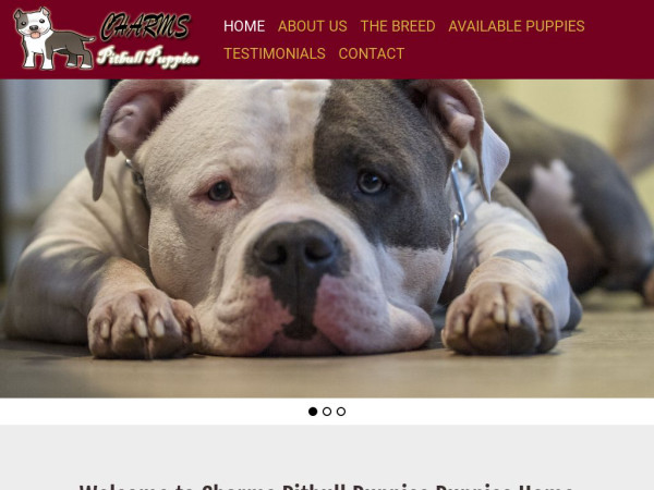 Charmspitbullpuppies.com - Pit Bull Puppy Scam Review