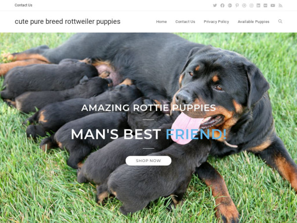 Cute-purebred-rottweilers.com - Rottweiler Puppy Scam Review