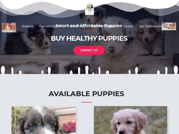 Cutefamilypups.com - Cavapoo Puppy Scam Review