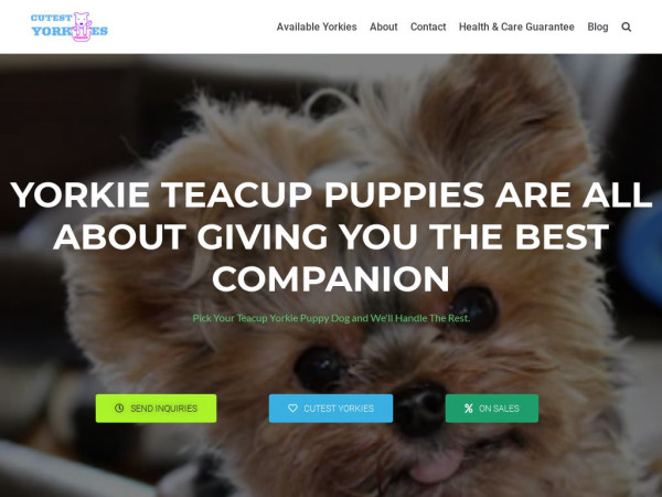 Cutestyorkies.com - Yorkshire Terrier Puppy Scam Review