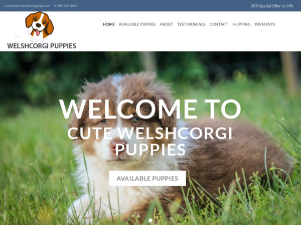 Cutewelshcorgipups.com - Corgi Puppy Scam Review