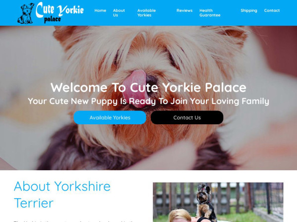 Cuteyorkiepalace.com - Yorkshire Terrier Puppy Scam Review