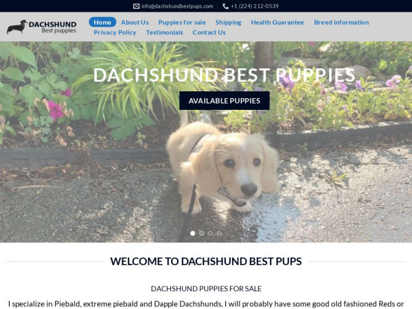 Dachshundbestpups.com - Dachshund Puppy Scam Review