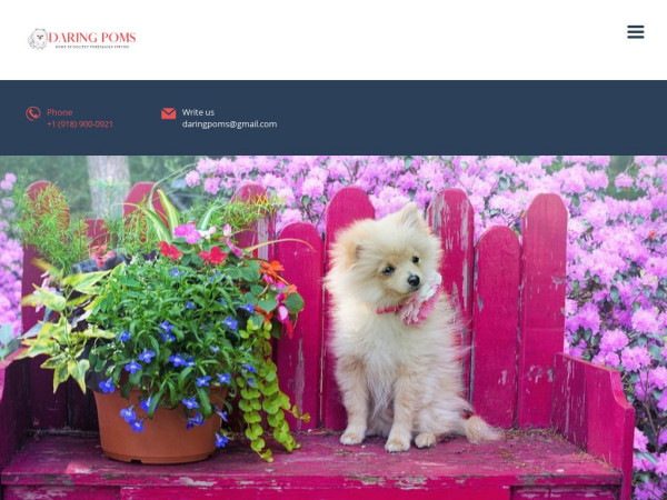 Daringpoms.com - Pomeranian Puppy Scam Review