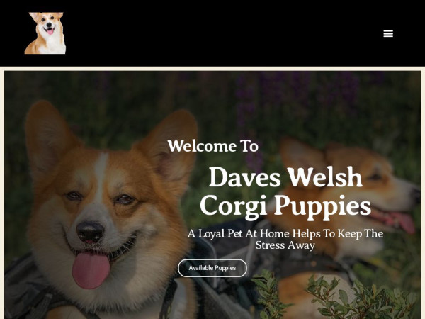 Daveswelshcorgipuppies.com - Corgi Puppy Scam Review