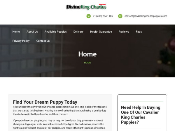 Divinekingcharlespuppies.com - Cavalier King Charles Spaniel Puppy Scam Review