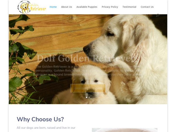 Dolfgoldenretrievers.com - Golden Retriever Puppy Scam Review