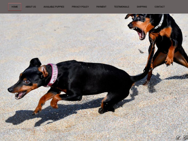 Dreamminiaturepinscher.com - Doberman Pinscher Puppy Scam Review